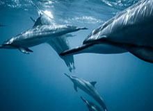 云开体育官网-强队全员出线?2022世界杯预选赛欧洲将无死亡之组